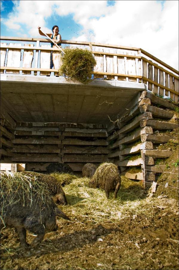 Lutzmannhof Irdning Exterior foto